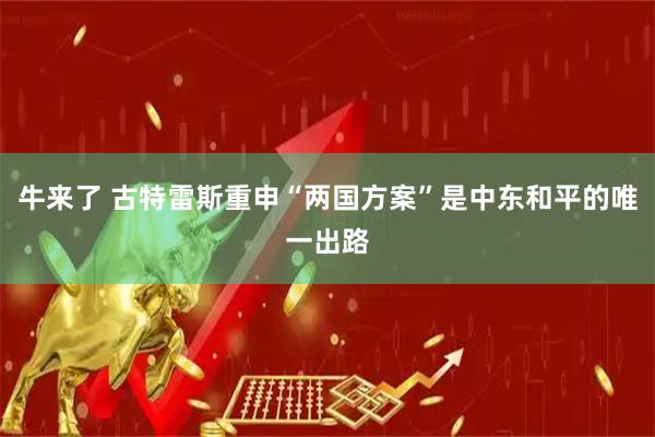 牛来了 古特雷斯重申“两国方案”是中东和平的唯一出路