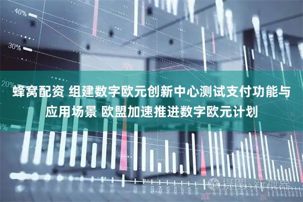 蜂窝配资 组建数字欧元创新中心测试支付功能与应用场景 欧盟加速推进数字欧元计划