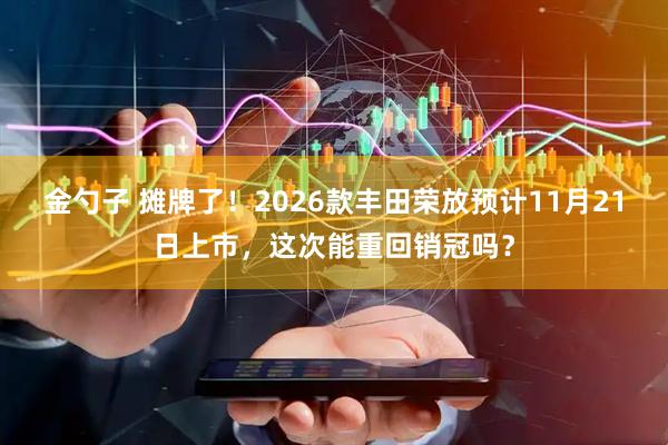 金勺子 摊牌了！2026款丰田荣放预计11月21日上市，这次能重回销冠吗？