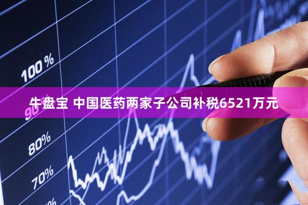 牛盘宝 中国医药两家子公司补税6521万元