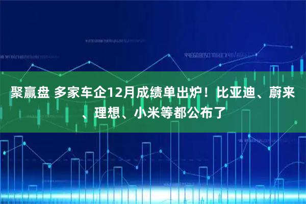 聚赢盘 多家车企12月成绩单出炉！比亚迪、蔚来、理想、小米等都公布了